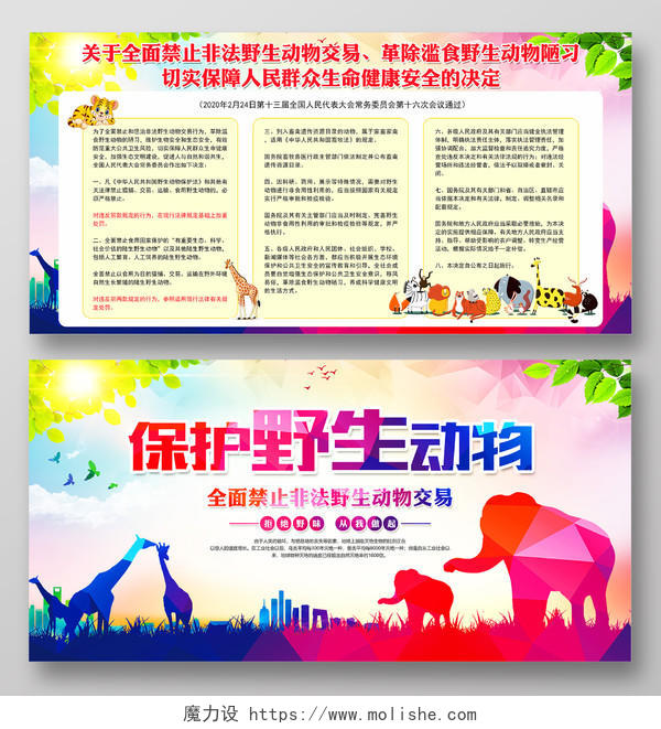 彩色全面禁止非法野生动物交易保护动物宣传栏展板